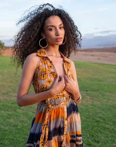 Multicolor Print Mini Dress - Chic Life